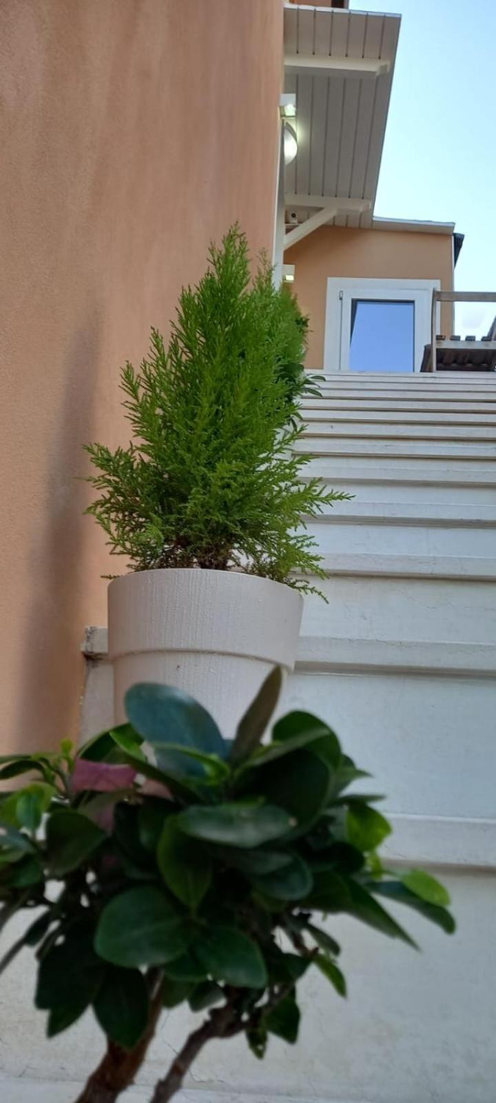 La Fenice 40 努马纳 外观 照片